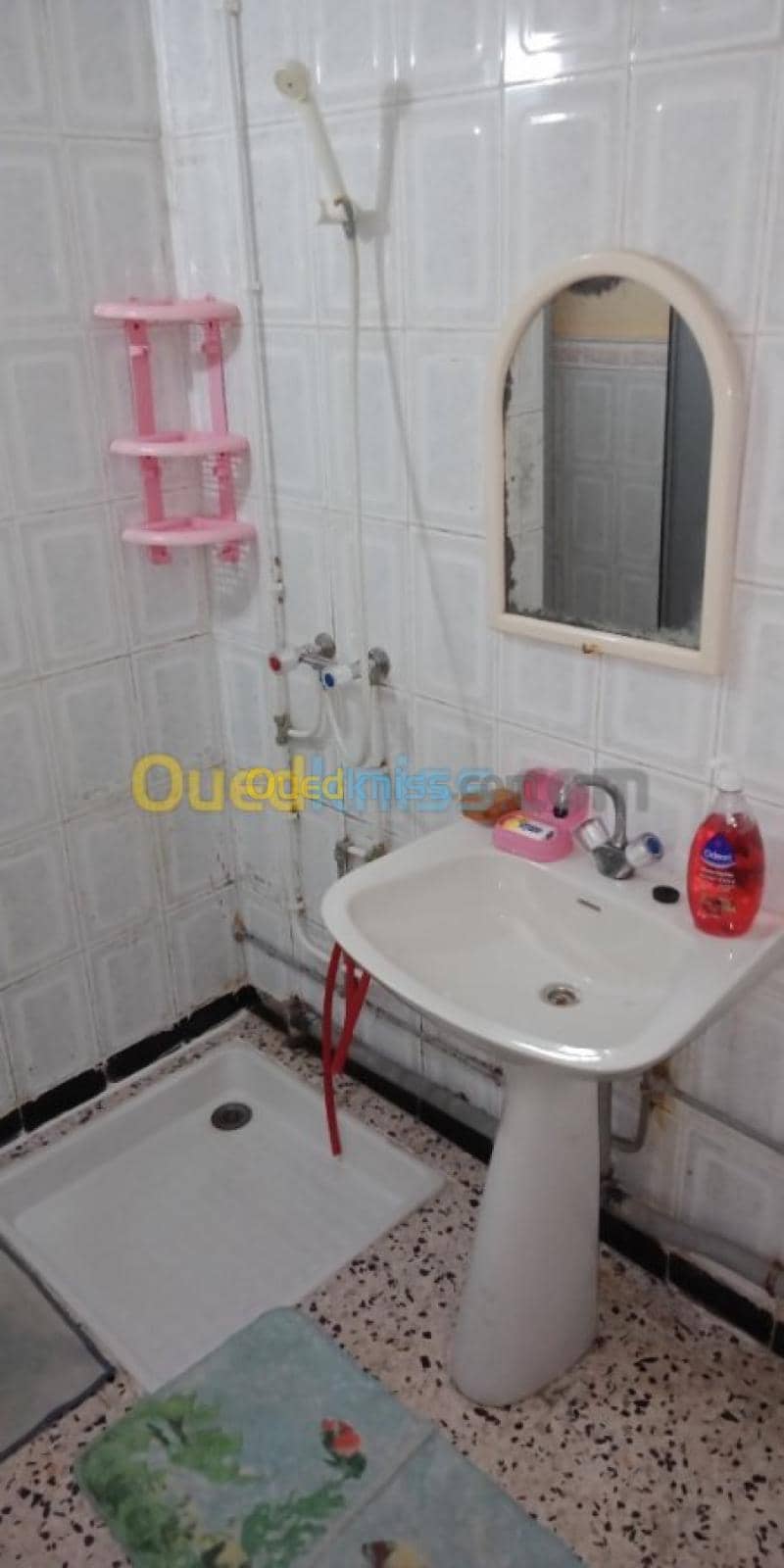 Location Appartement F3 Skikda Skikda 12