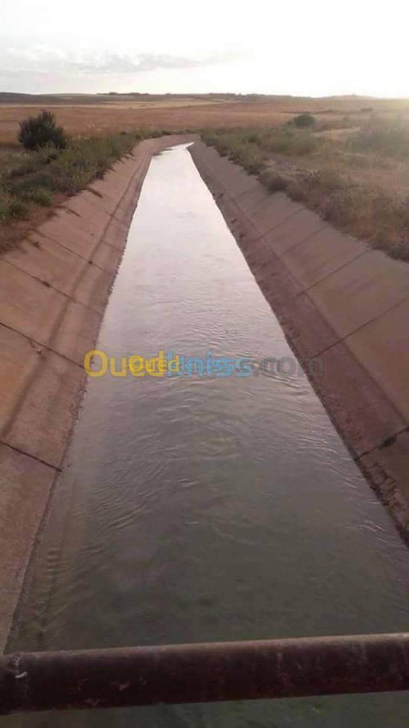 Vente Terrain Agricole Relizane Bendaoud 4