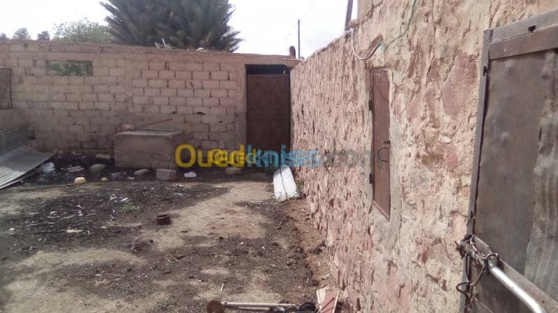 Vente Terrain Naama Ain sefra 11