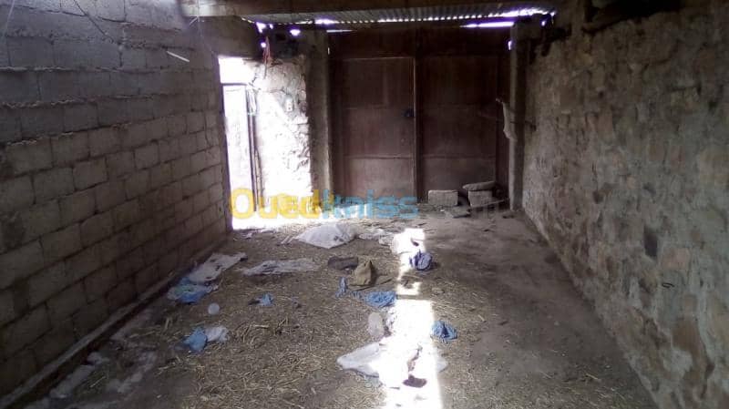 Vente Terrain Naama Ain sefra 12
