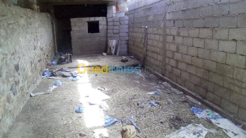 Vente Terrain Naama Ain sefra 14