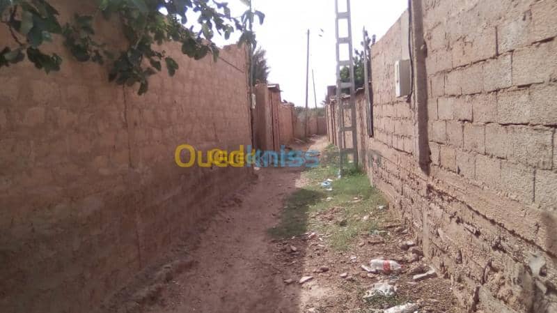 Vente Terrain Naama Ain sefra 16
