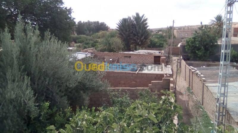 Vente Terrain Naama Ain sefra 2