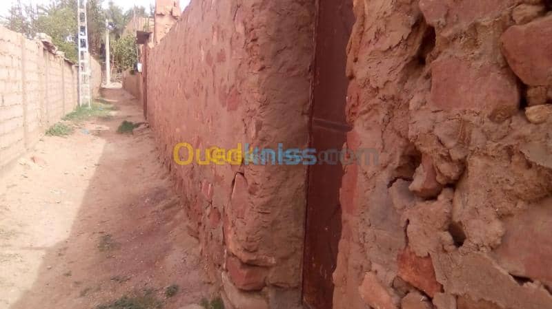 Vente Terrain Naama Ain sefra 3