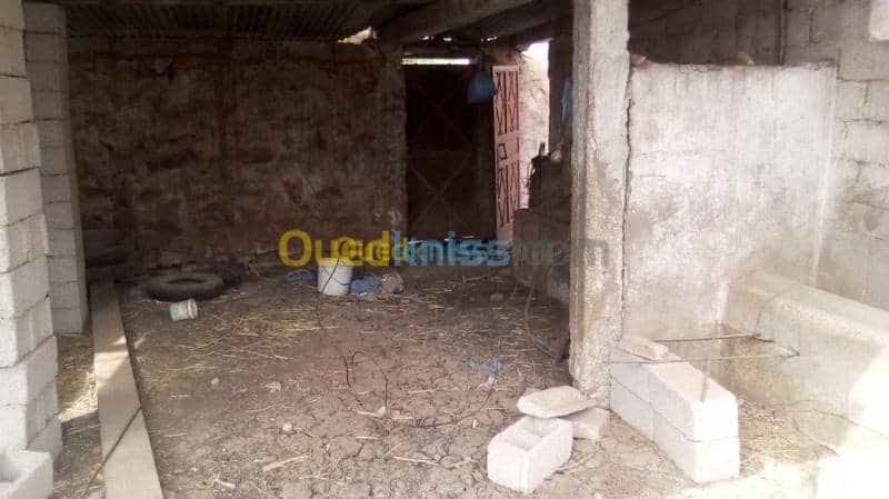 Vente Terrain Naama Ain sefra 5