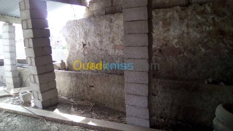 Vente Terrain Naama Ain sefra 7