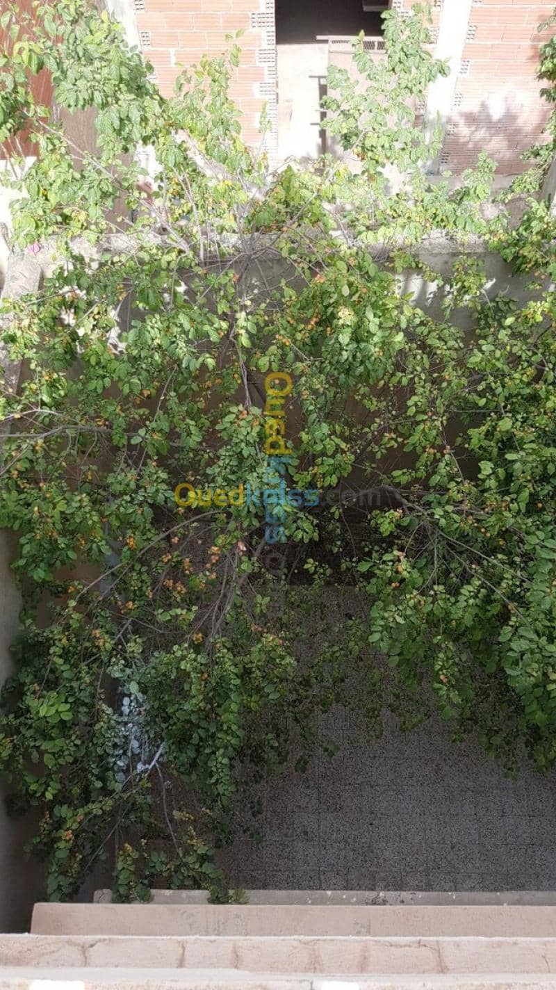 Vente Villa Bordj bou arreridj Bordj bou arreridj 11