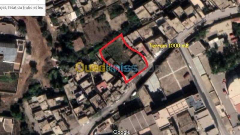 Vente Terrain Tlemcen Mansourah 3