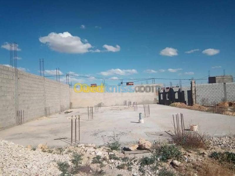 Vente Terrain Khenchela El mahmal 2