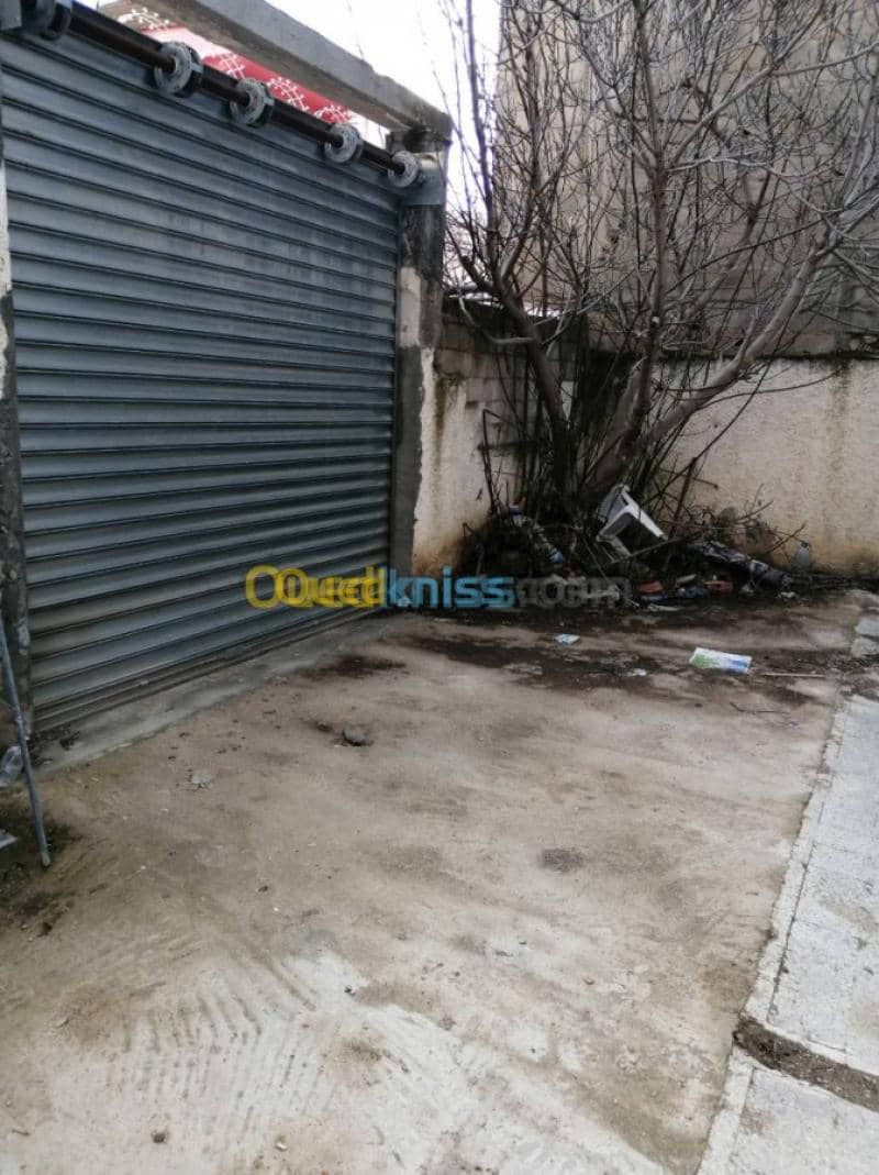 Location Villa Souk ahras Souk ahras 17