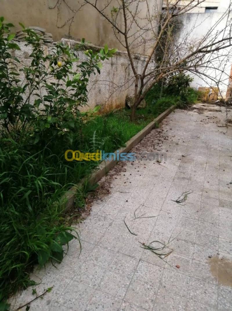 Location Villa Souk ahras Souk ahras 3