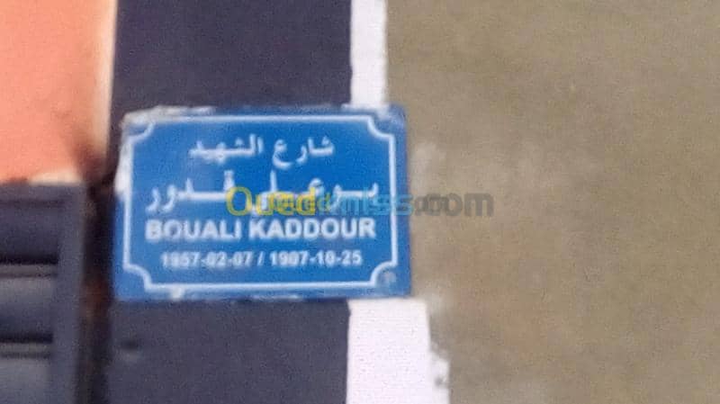 Vente Terrain Chlef Chlef 4
