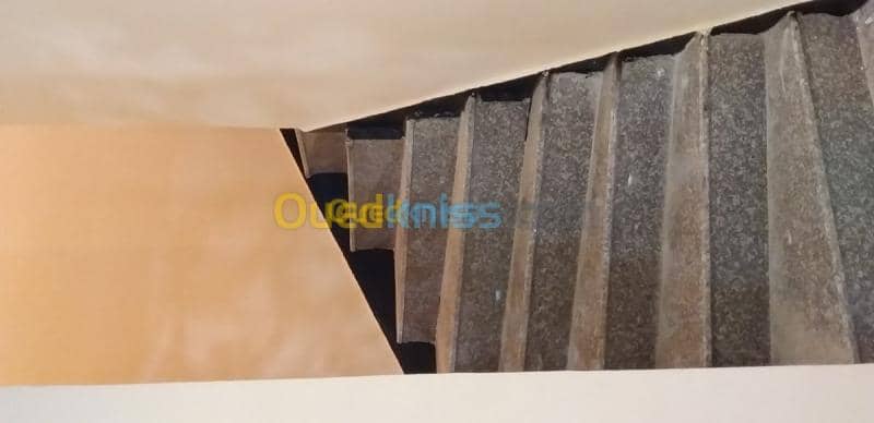 Location Appartement Mostaganem Mostaganem 13