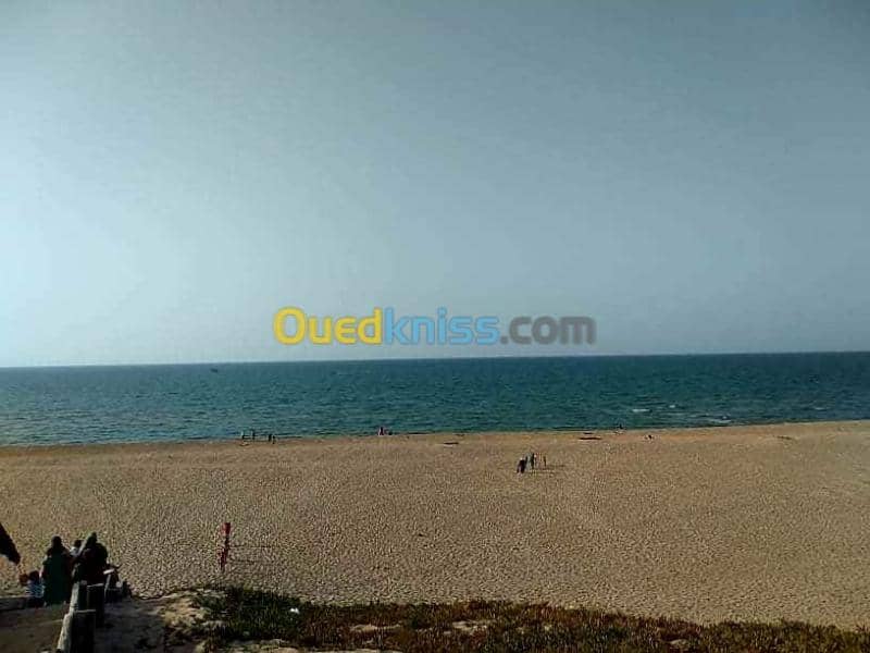 Location vacances Appartement Niveau de villa Studio F2 El Tarf Echatt 13