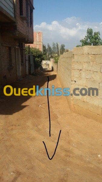 Vente Terrain Relizane Oued rhiou 3