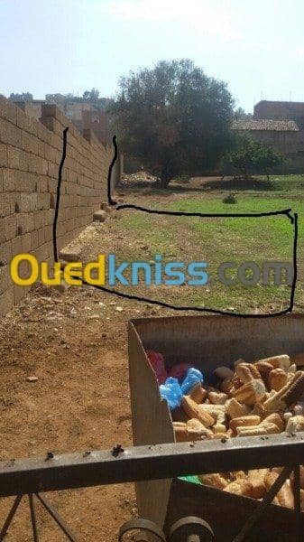 Vente Terrain Relizane Oued rhiou 4