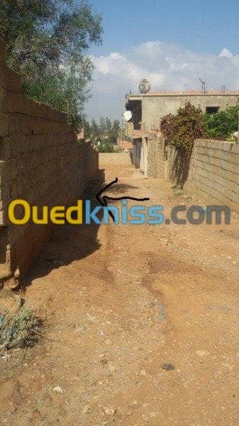 Vente Terrain Relizane Oued rhiou 5