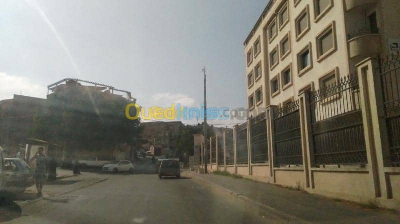 Location Hangar - Usine Alger Said hamdine