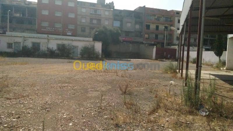 Location Hangar - Usine Alger Said hamdine 2