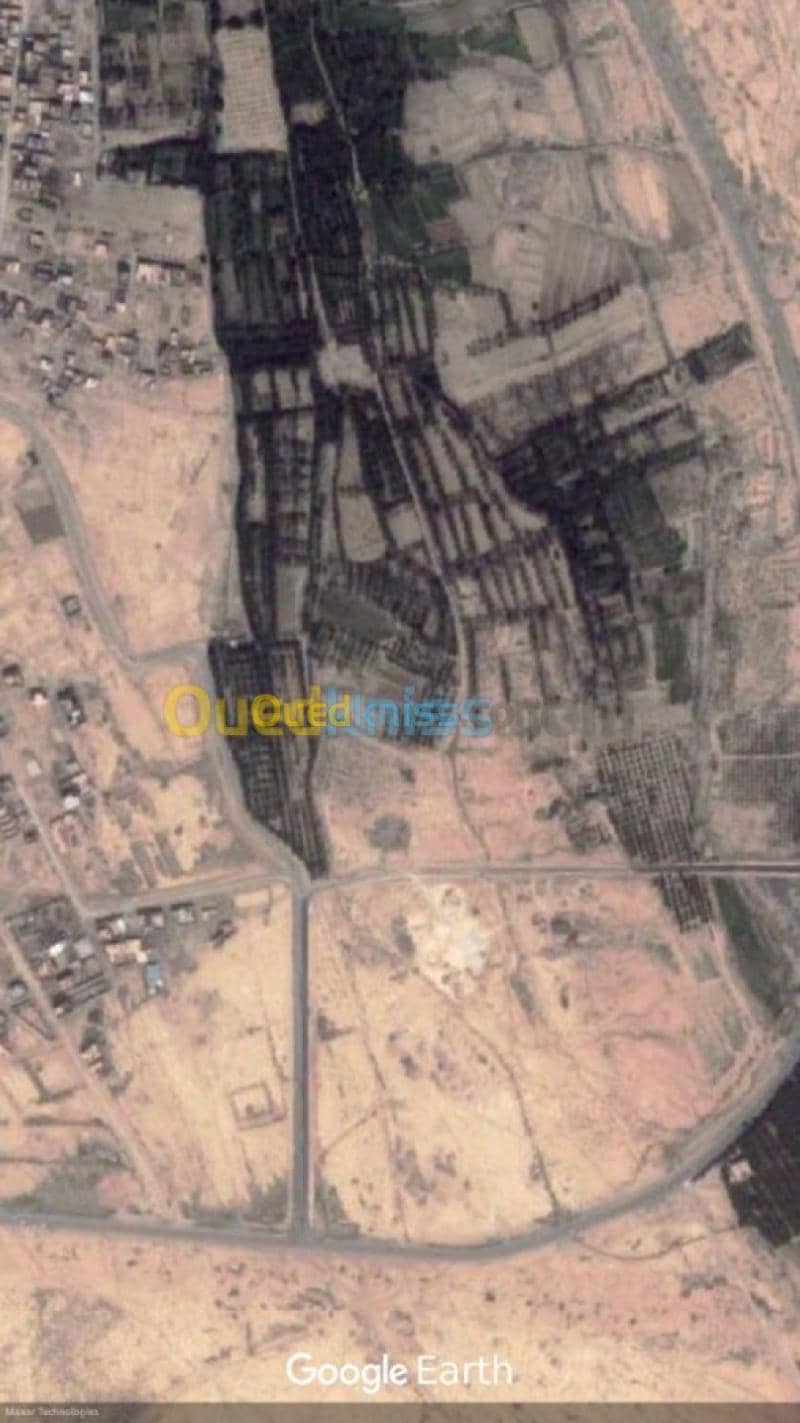 Vente Terrain Biskra Biskra 6