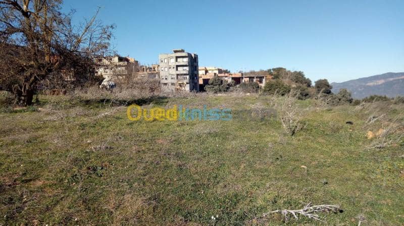 Vente Terrain Medea Medea