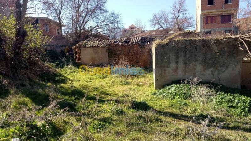Vente Terrain Medea Medea 9