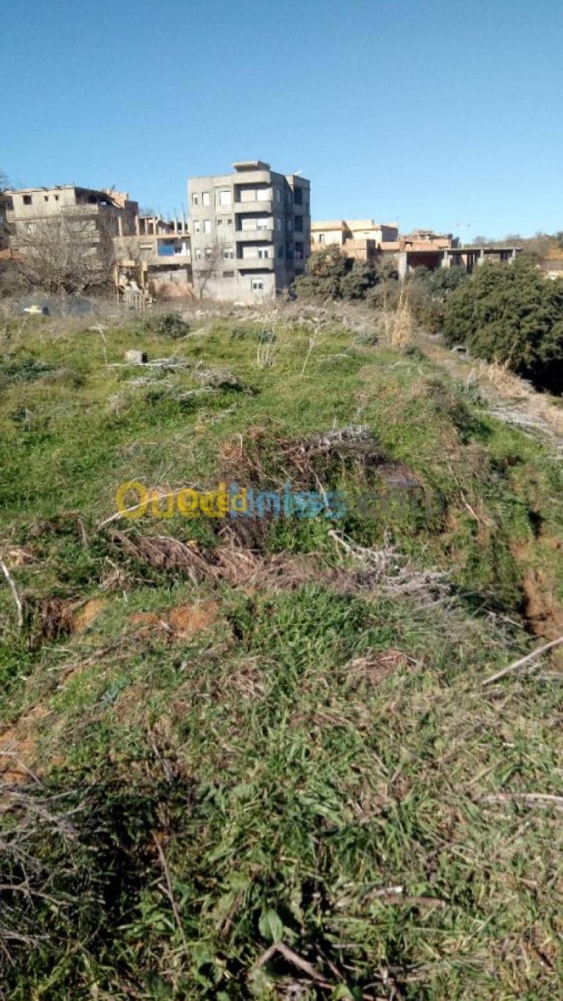 Vente Terrain Medea Medea 2