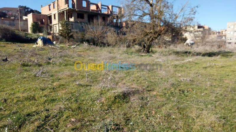 Vente Terrain Medea Medea 3