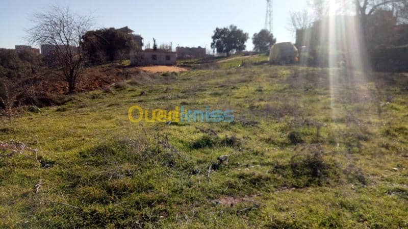 Vente Terrain Medea Medea 4