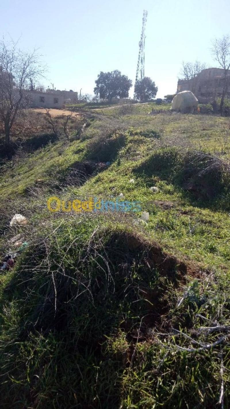 Vente Terrain Medea Medea 5