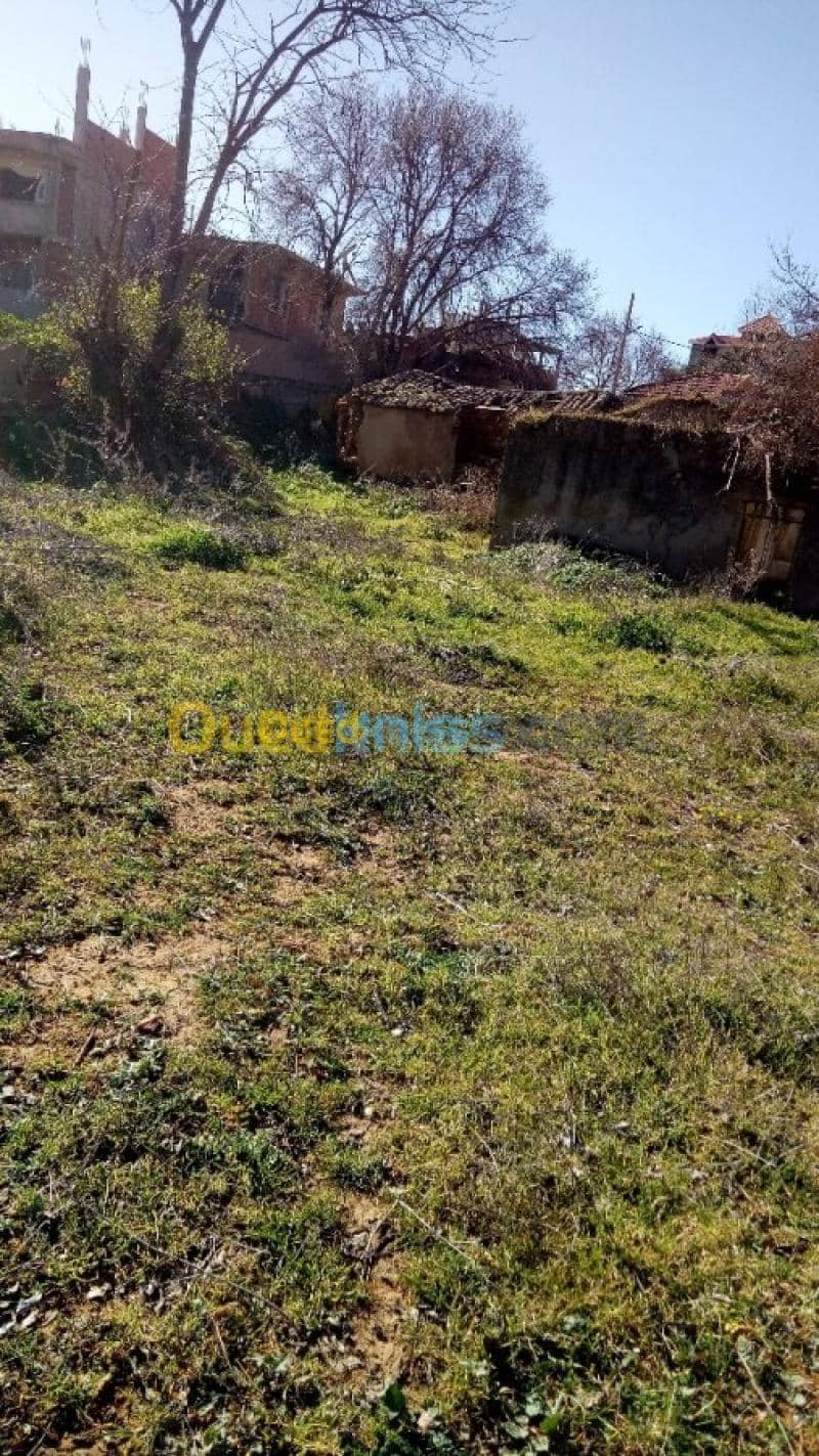 Vente Terrain Medea Medea 7
