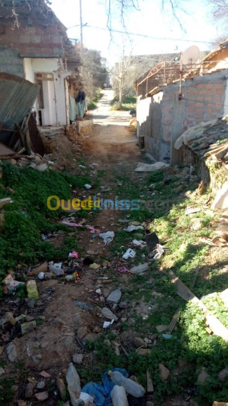 Vente Terrain Medea Medea 8