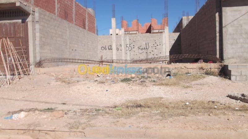 Vente Terrain Laghouat El assafia 2