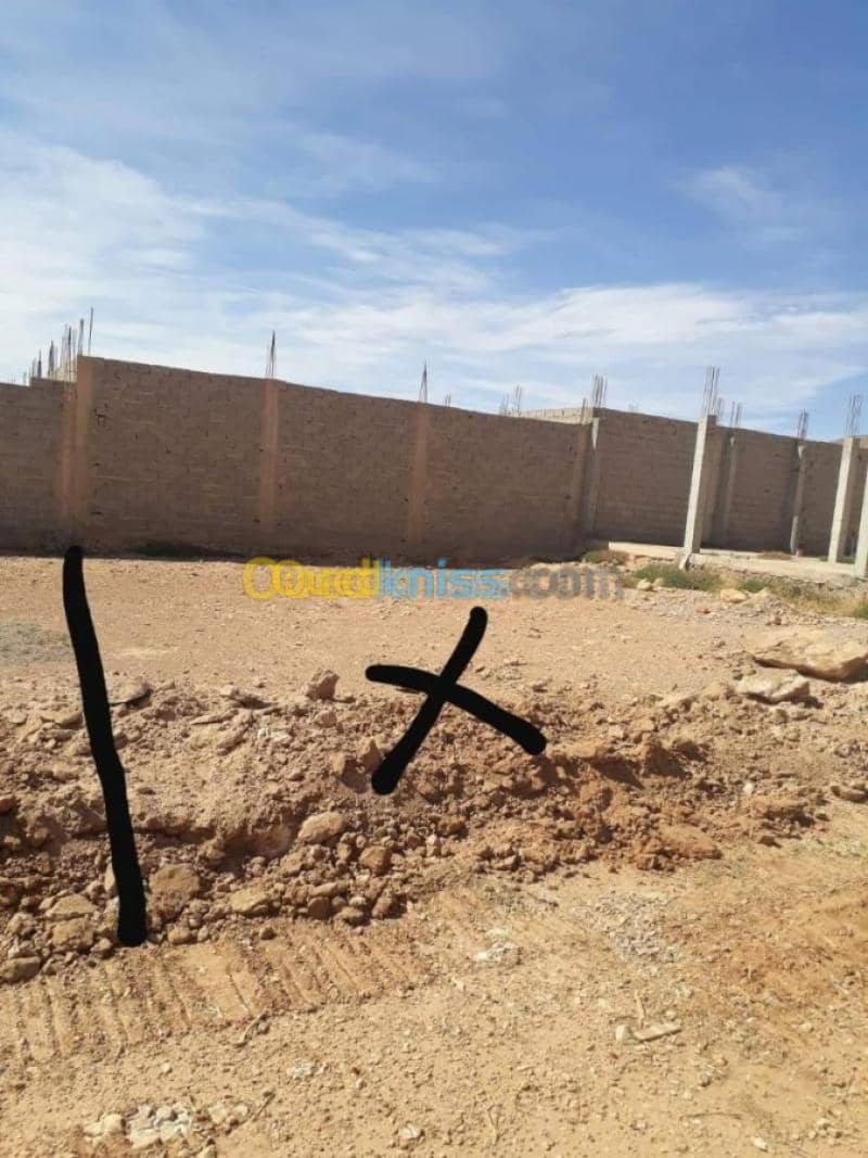 Location Terrain Naama Mecheria 2