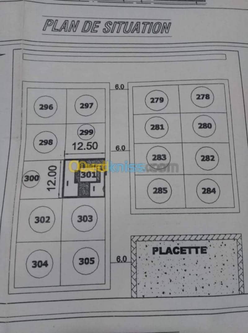 Location Terrain Naama Mecheria 5