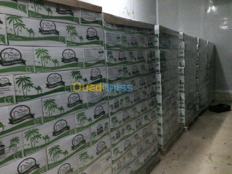 Location Usine Biskra Biskra 13