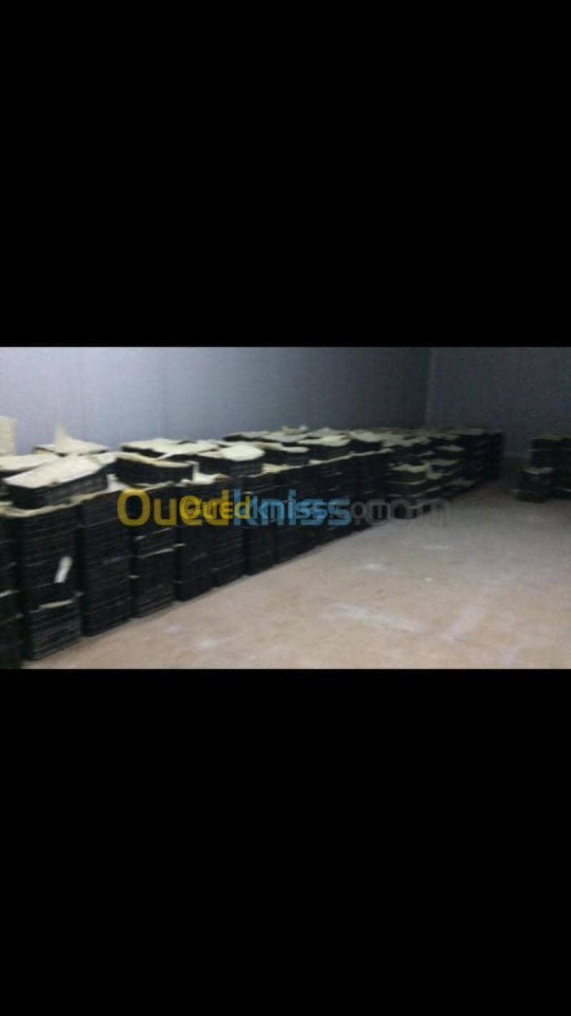 Location Usine Biskra Biskra 14