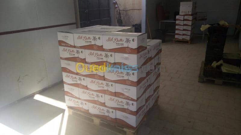 Location Usine Biskra Biskra 15