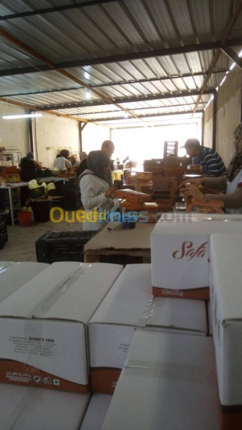 Location Usine Biskra Biskra 16