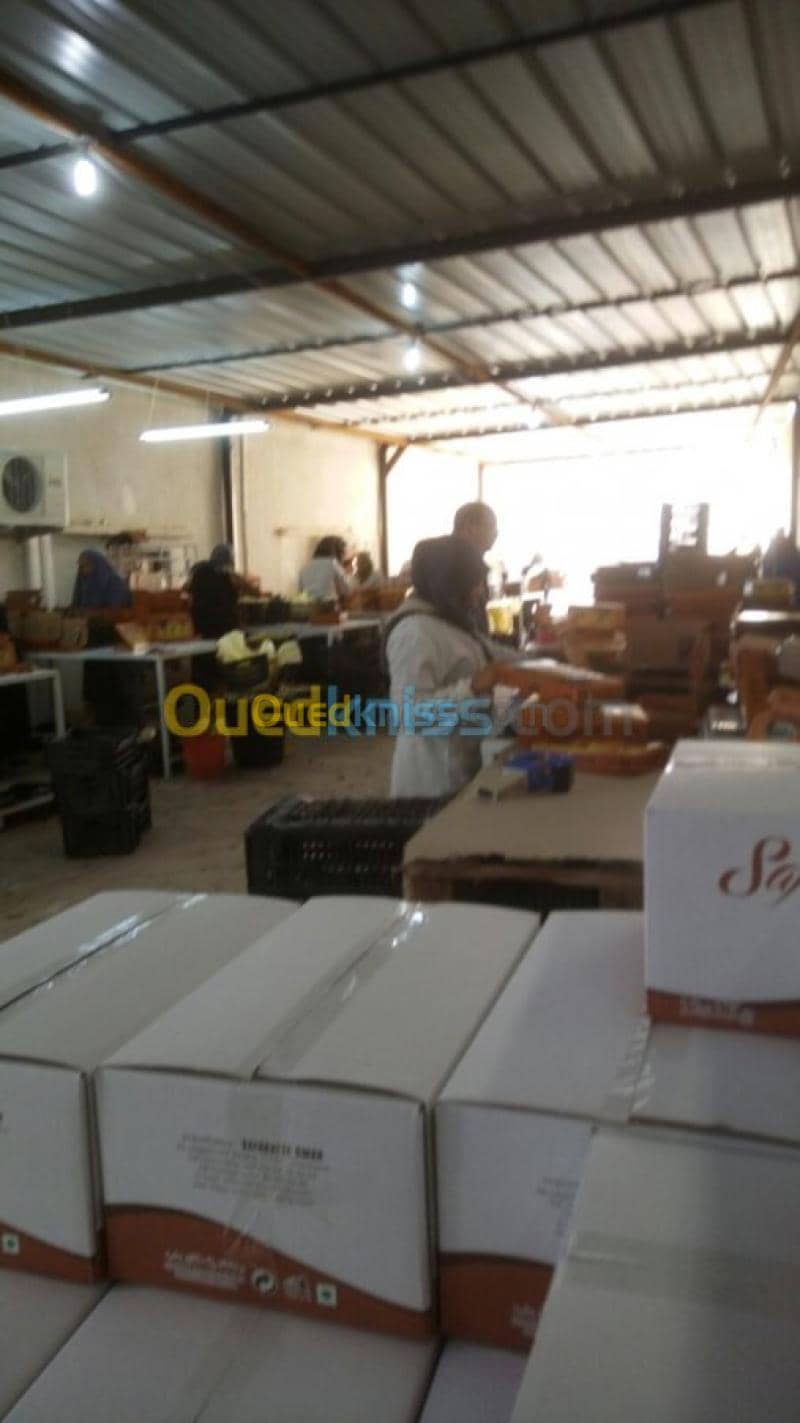 Location Usine Biskra Biskra 23