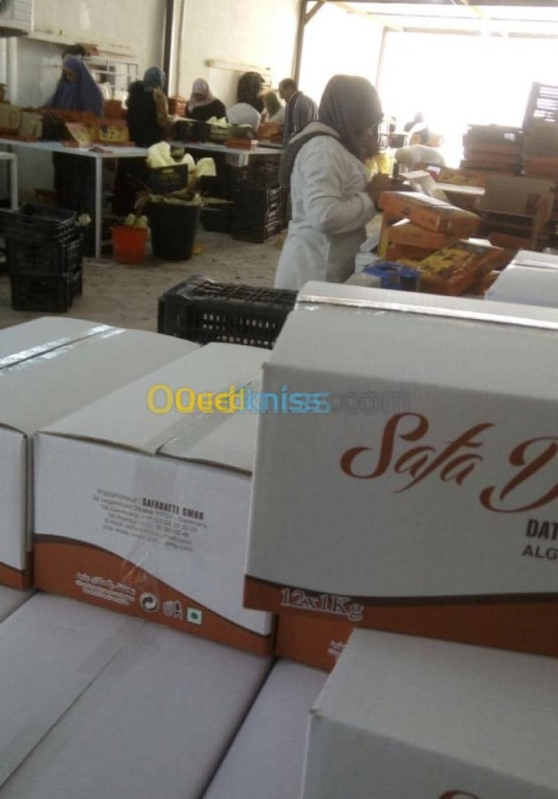 Location Usine Biskra Biskra 24