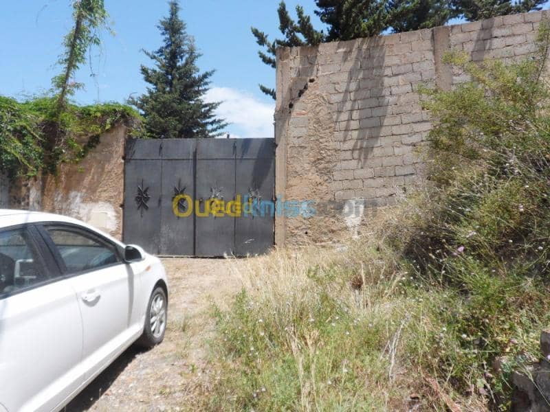 Vente Villa Tipaza Cherchell 14