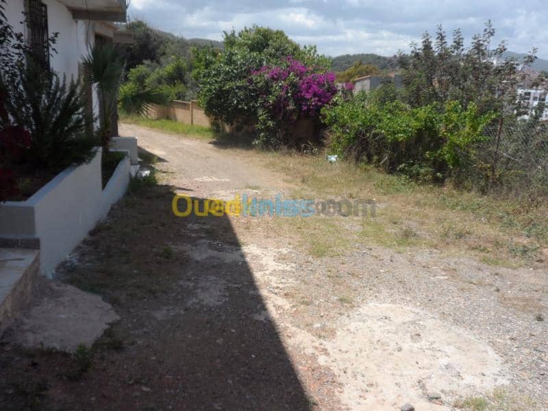 Vente Villa Tipaza Cherchell 15