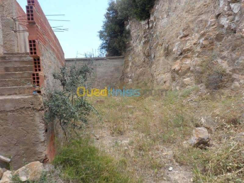 Vente Villa Tipaza Cherchell 30