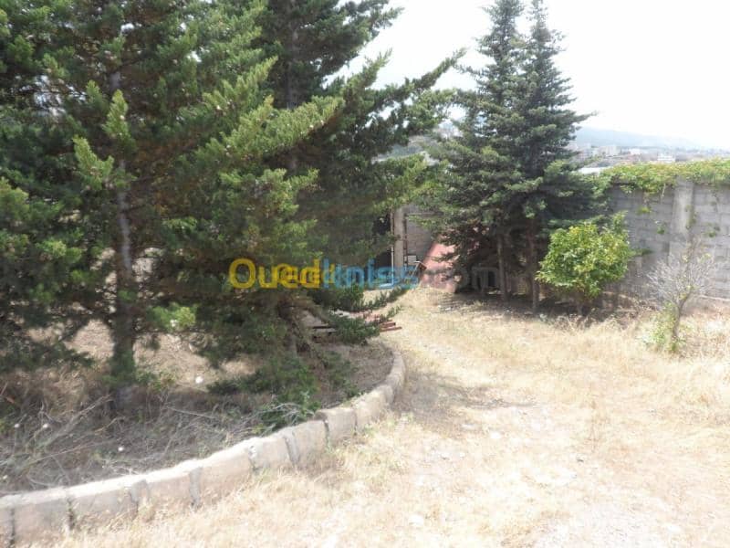 Vente Villa Tipaza Cherchell 39