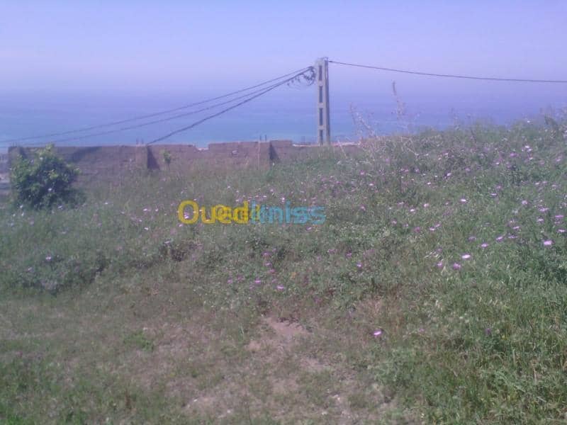 Vente Villa Tipaza Cherchell 7