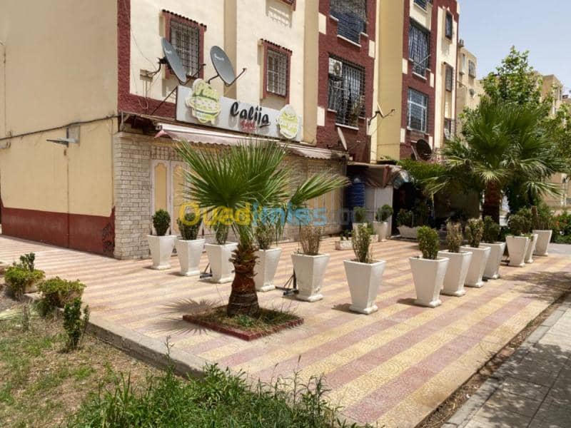 Vente Local Batna Batna 4