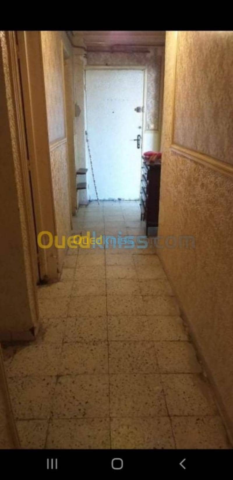 Vente Appartement F3 Tissemsilt Tissemsilt 5
