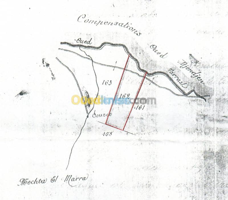 Vente Terrain Agricole Mila Ferdjioua 2