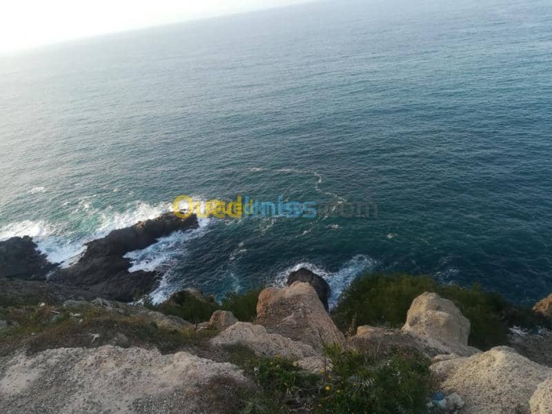 Vente Appartement F4 Chlef Beni haoua 4